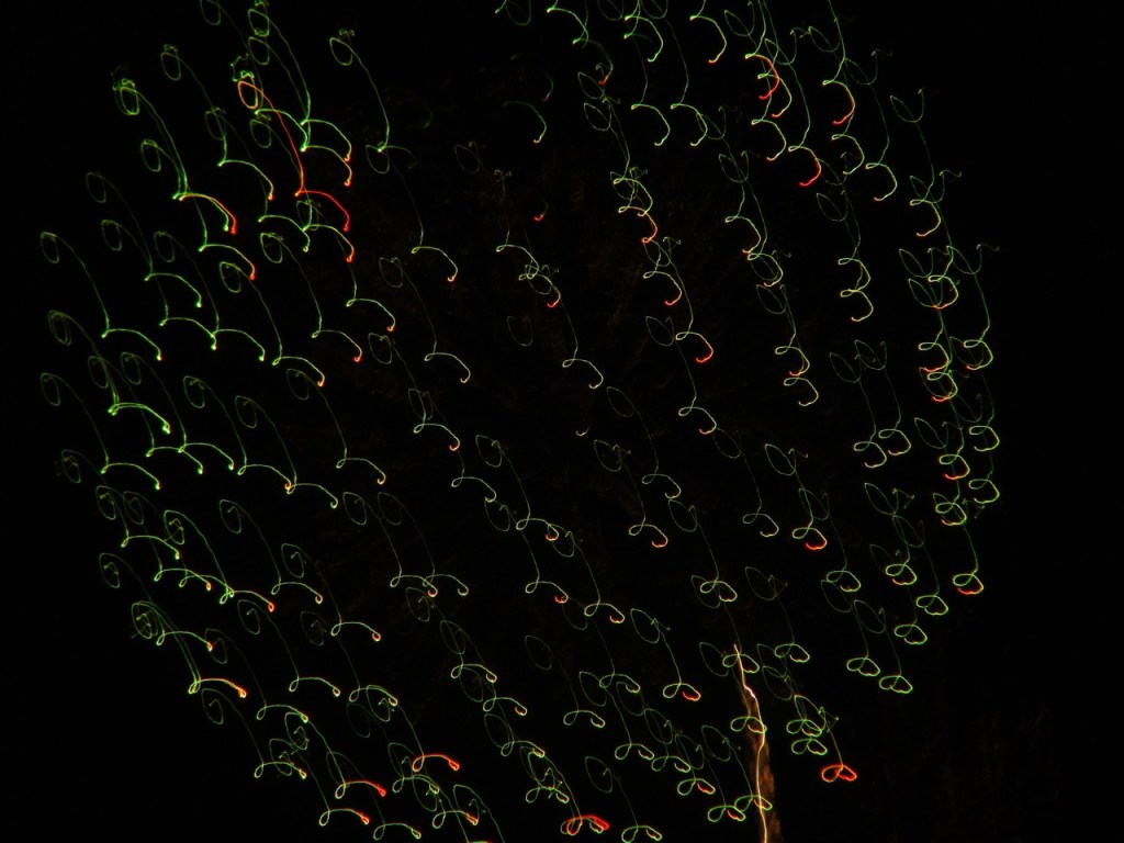 Photo by Margy Dowzer