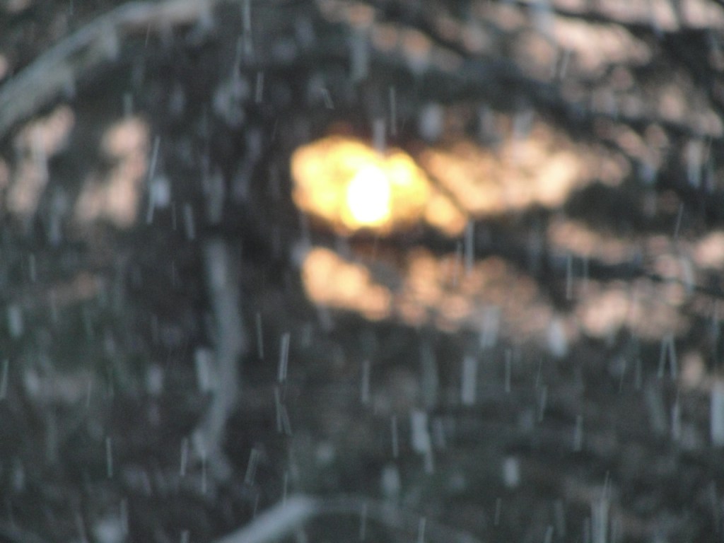 Snowy Abstract Sun DSC08841