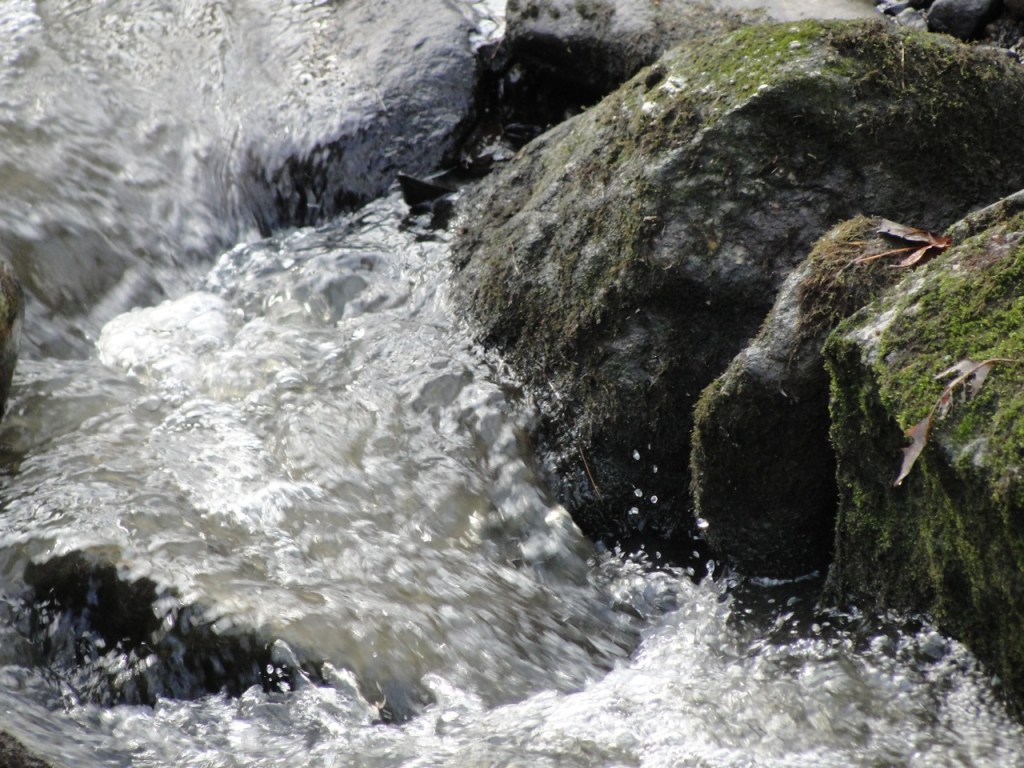 Flowing Water MJ DSC02210