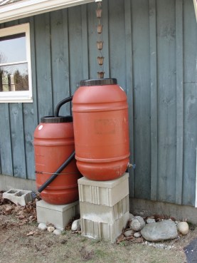 Photo by Margy Dowzer