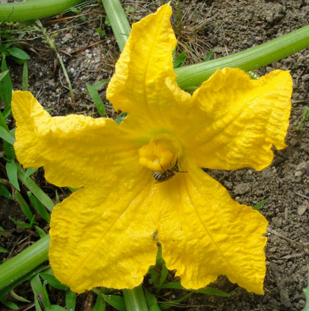 Photo by Margy Dowzer