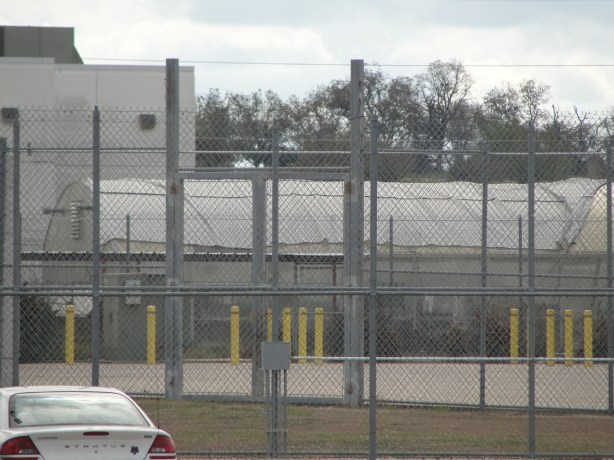 Photo by Margy Dowzer