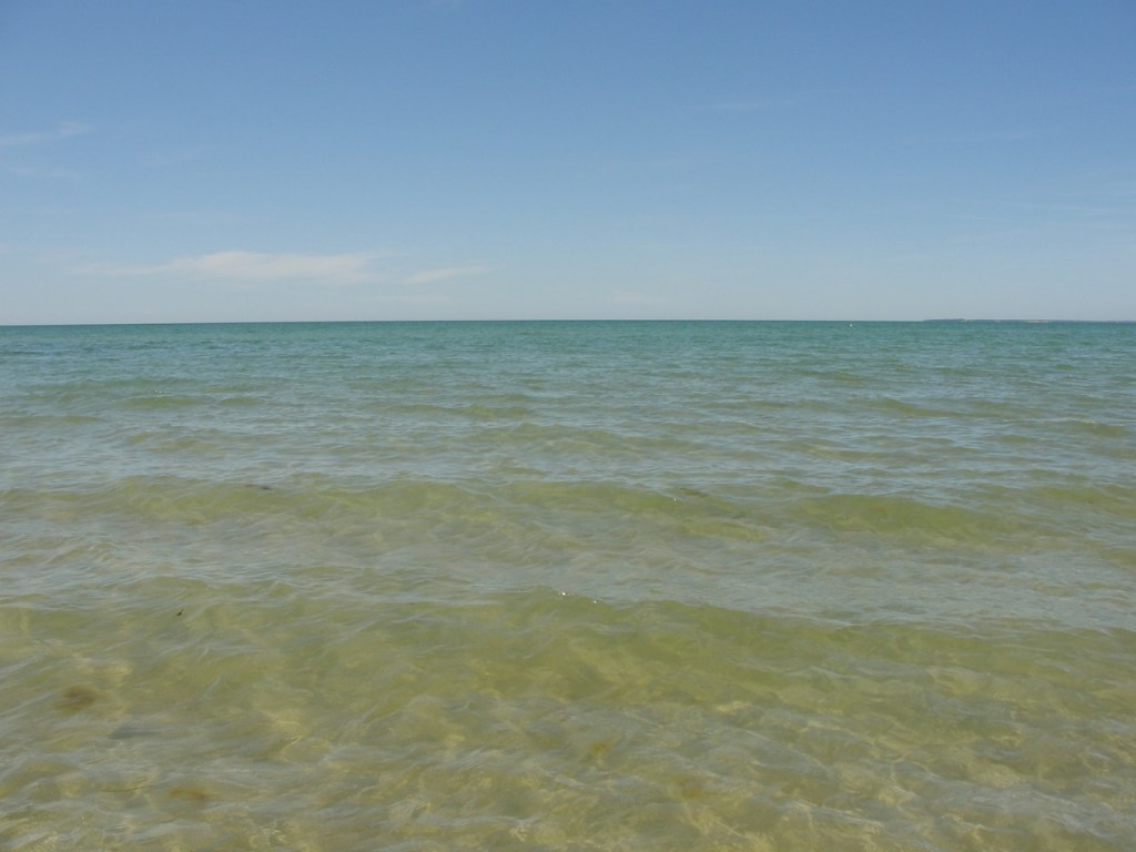 Open Water Crosby MJ DSC05331