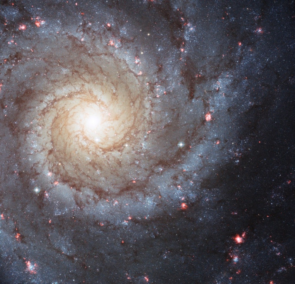 Hubble Image of Spiral Galaxy 
