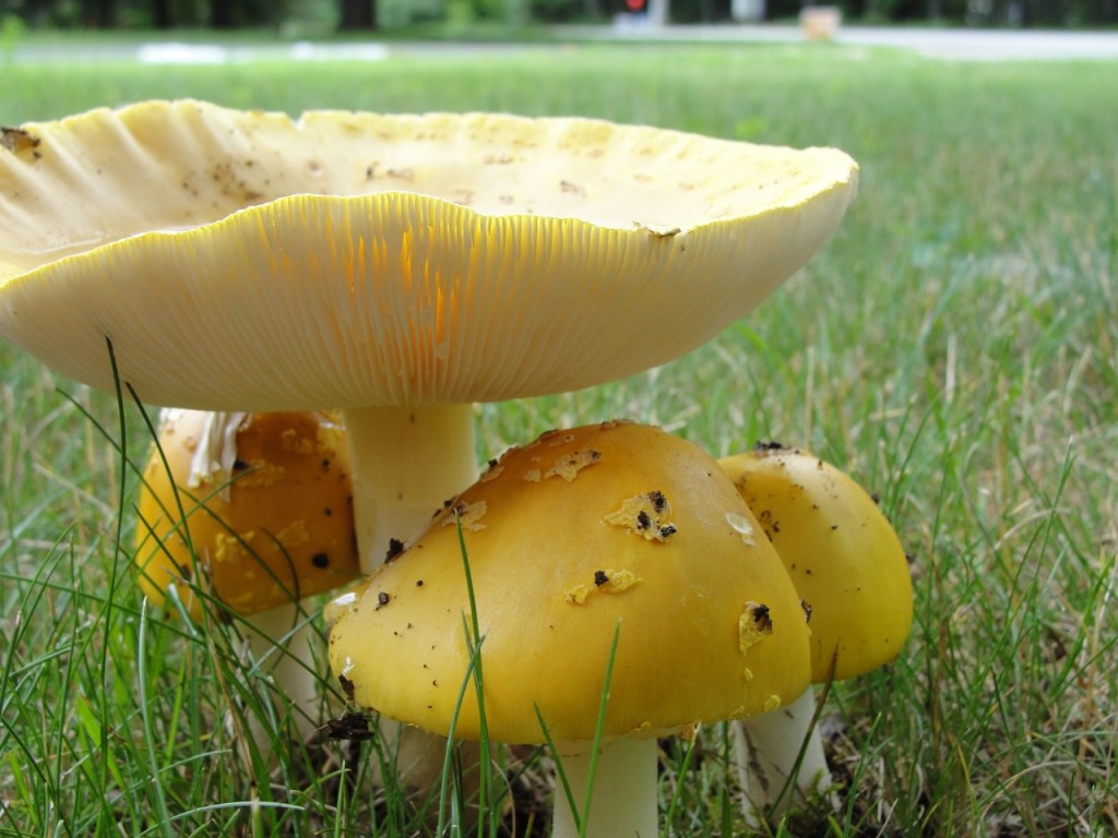 Photo by Margy Dowzer