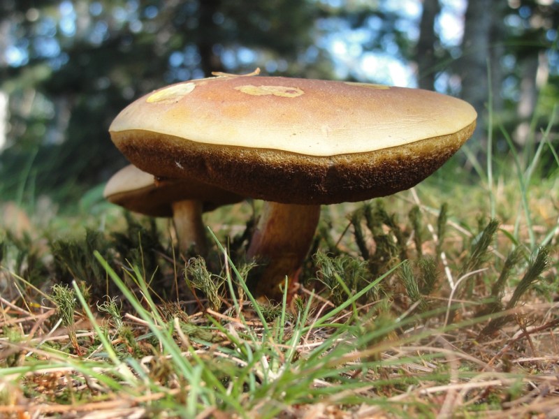 Photo by Margy Dowzer