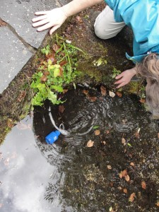 Into the Well!  Photo by Margy Dowzer