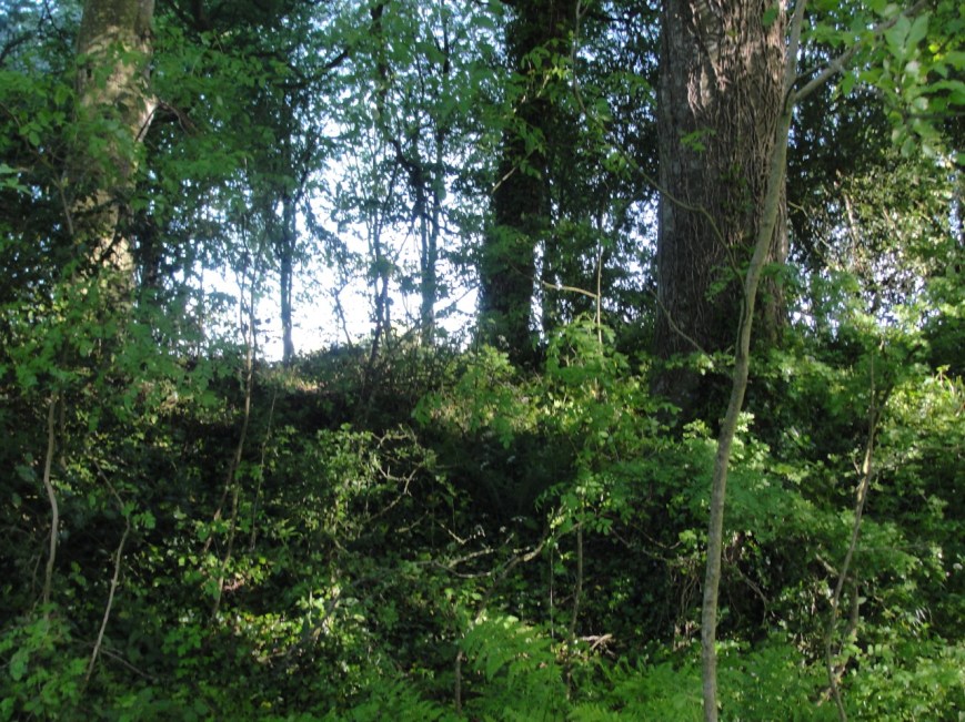 Ring Fort Ashley Park