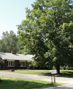 Our house with trees