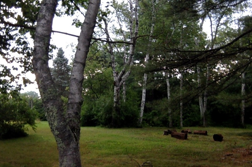 Morning Photo on 8-4-15 at 7.02 AM