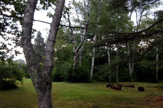 Morning Photo on 8-4-15 at 7.02 AM