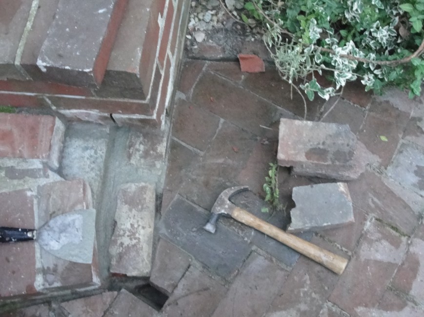 Photo by Margy Dowzer