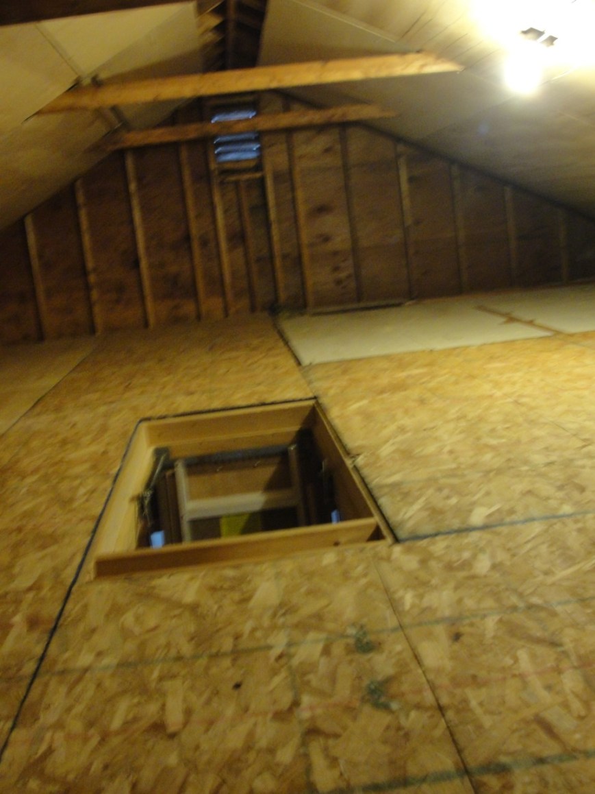 Attic/before photo
