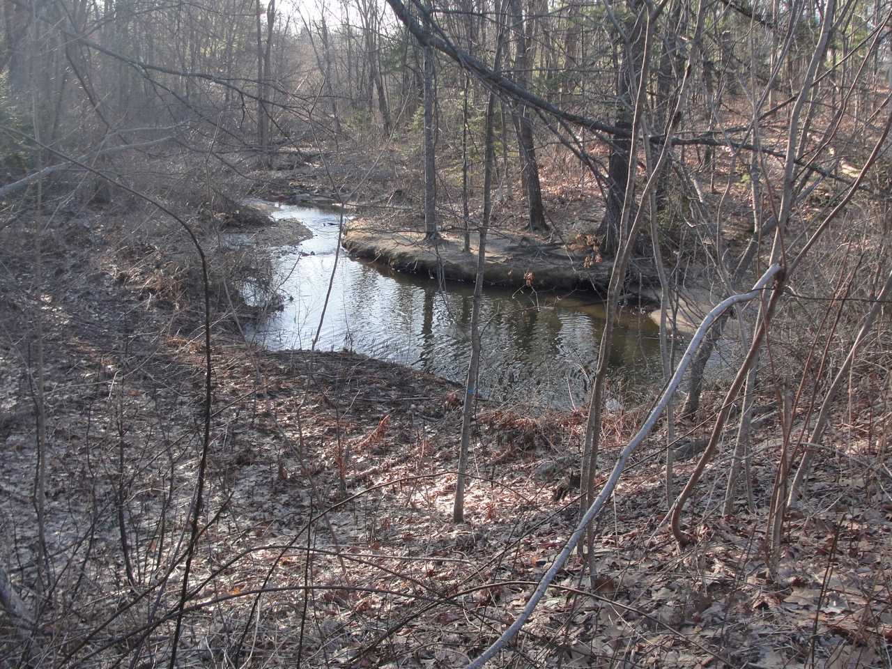 Capisic Brook Watershed