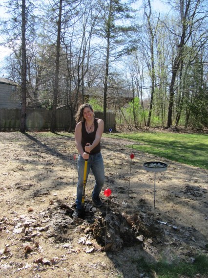Sylvia starts digging