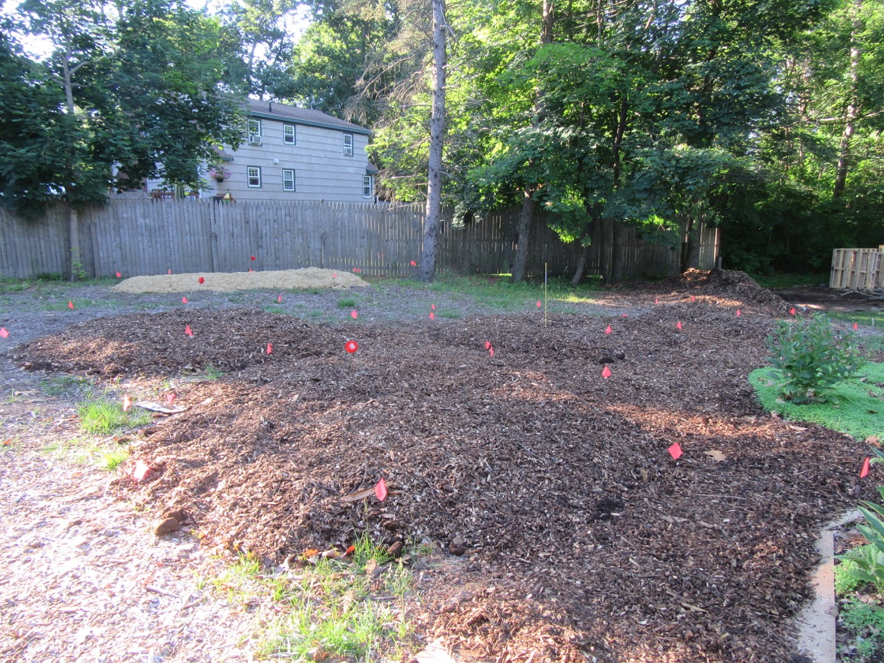 After-Fruit Tree &amp; Flower/Herb Beds