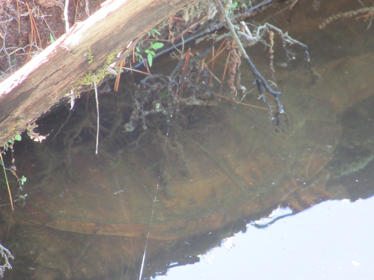 Hidden Mysteries Two