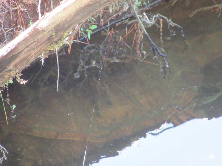 Hidden Mysteries Two