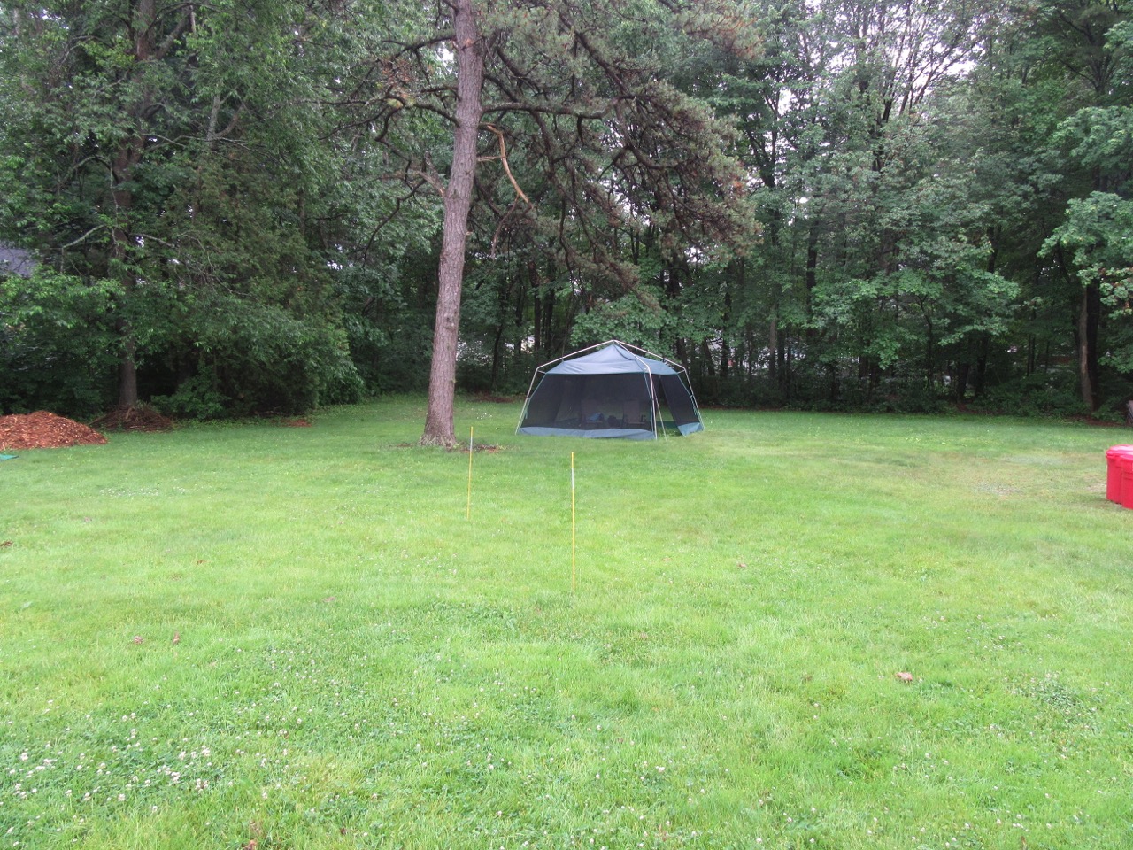 Permablitz before photo 2