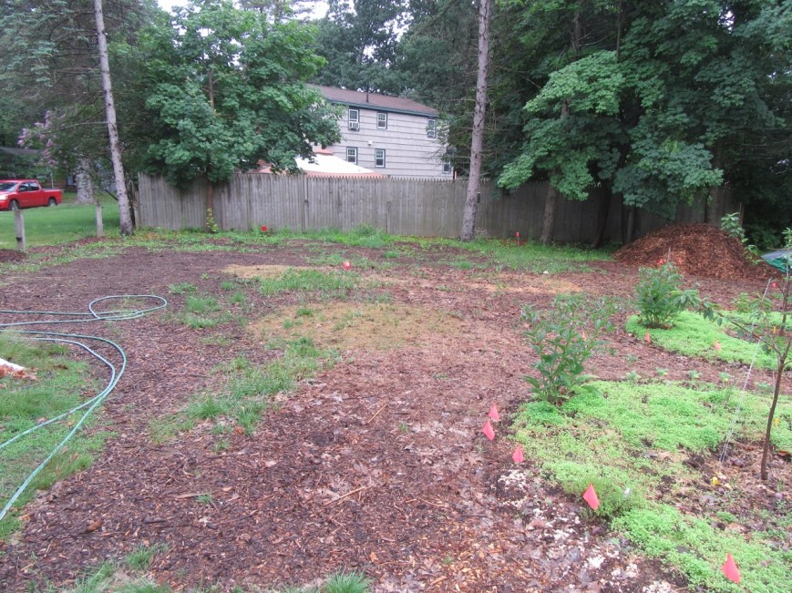 Permablitz before photo