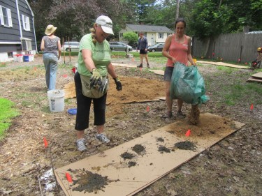 Raspberry Bed-manure &amp; chaff Mihku &amp; Heather