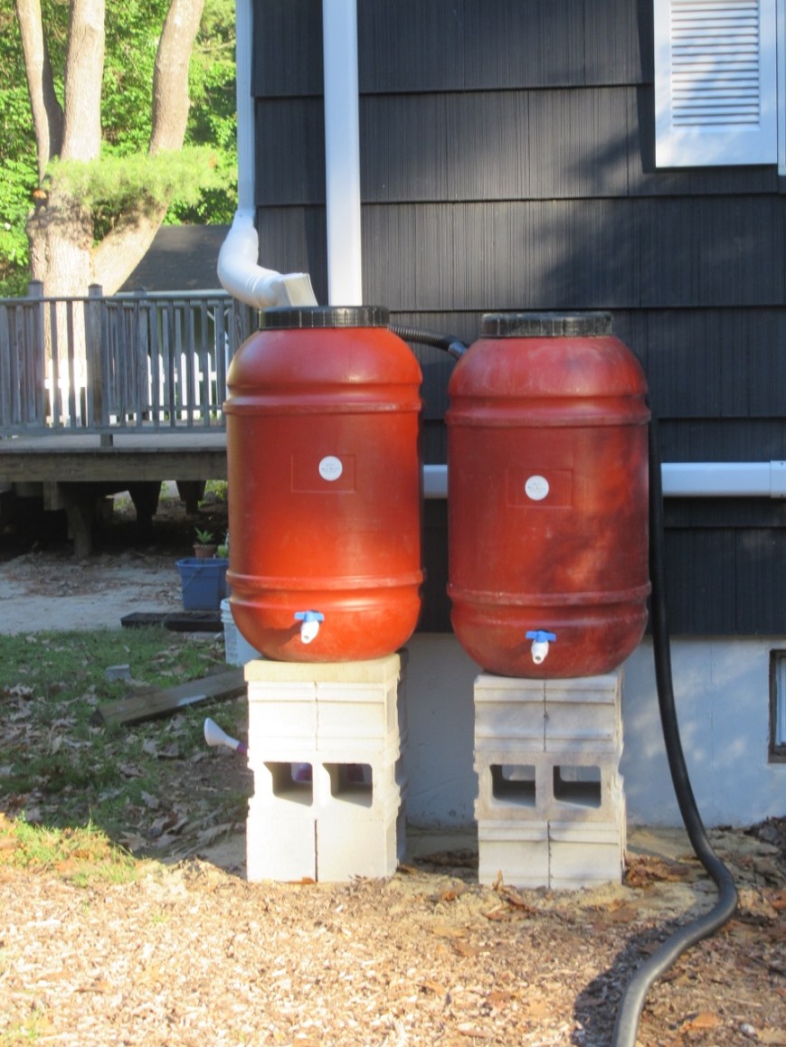 After- Rain Barrel close-up