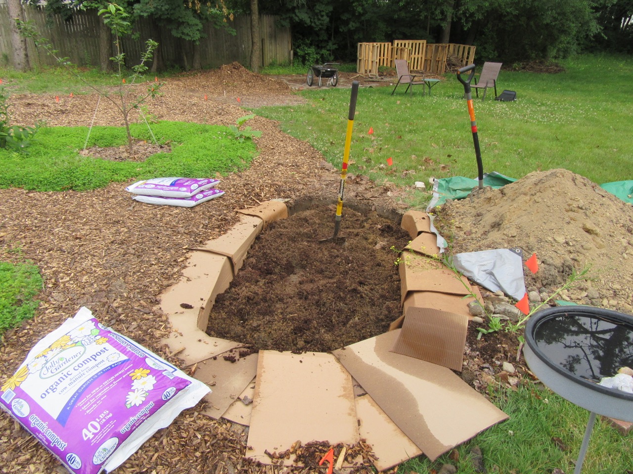 Blueberry bed-half done