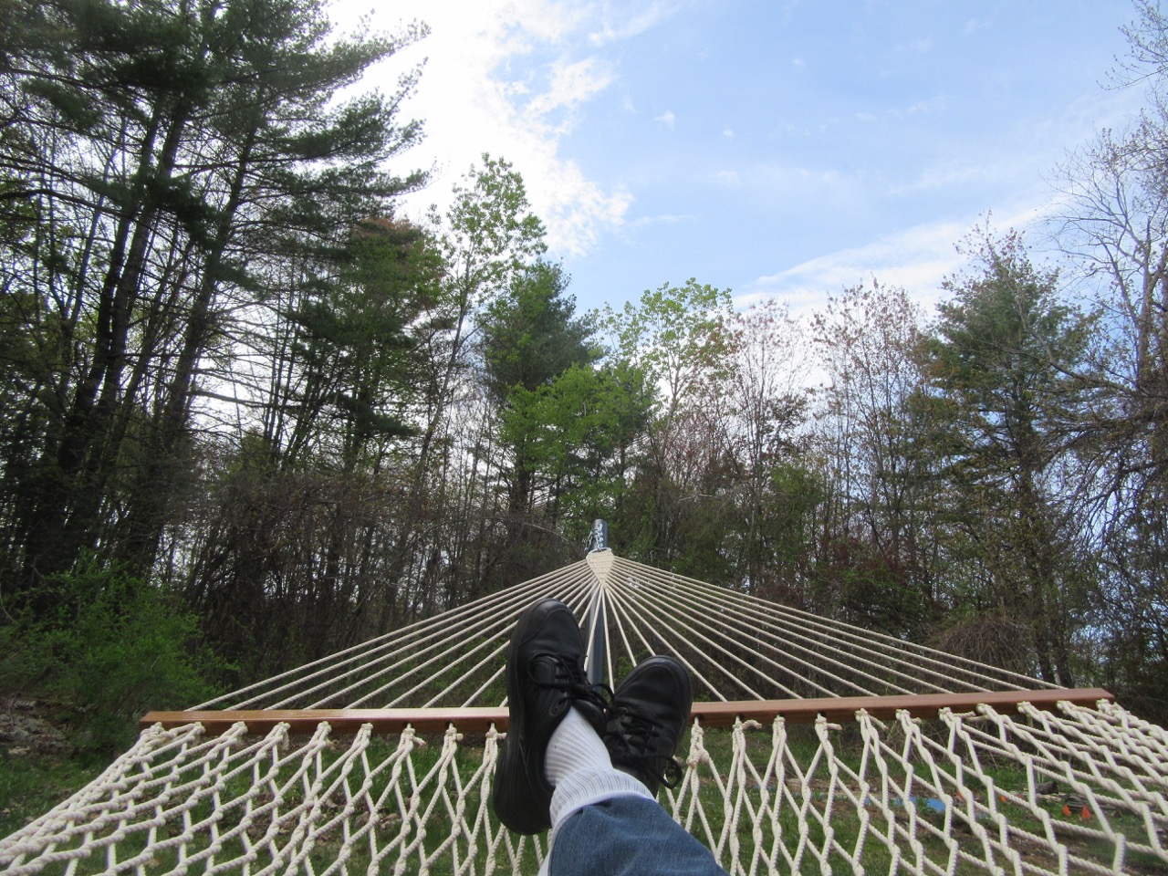 Hammock View