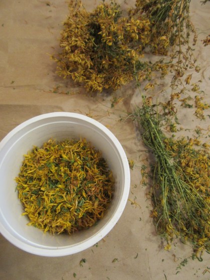St. John's Wort Dried