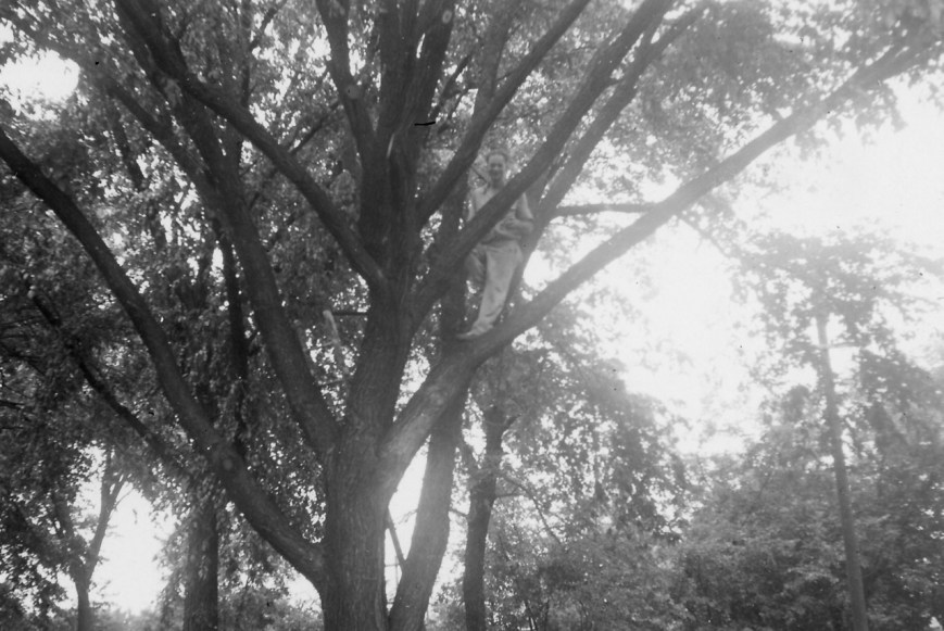 Heie Johnson in a tree – Version 2