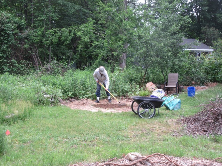 Myke layering the mulberry bed