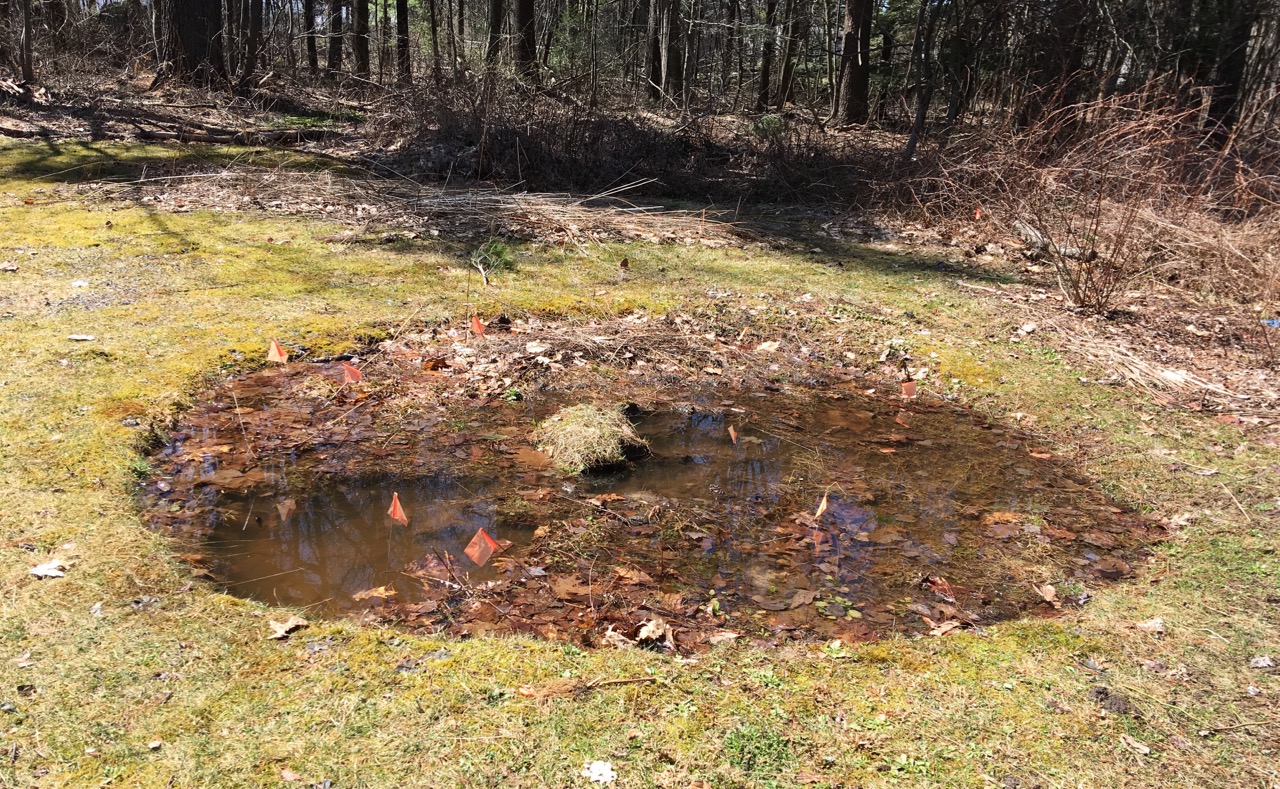 future pond with rain