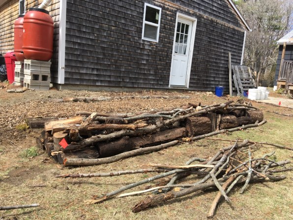 hugelkultur branches