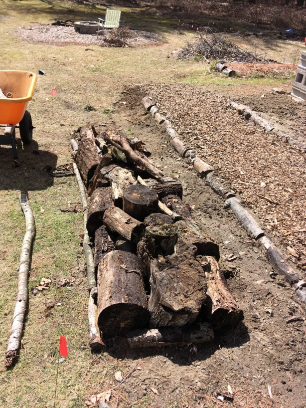 Logs layer hugelkultur