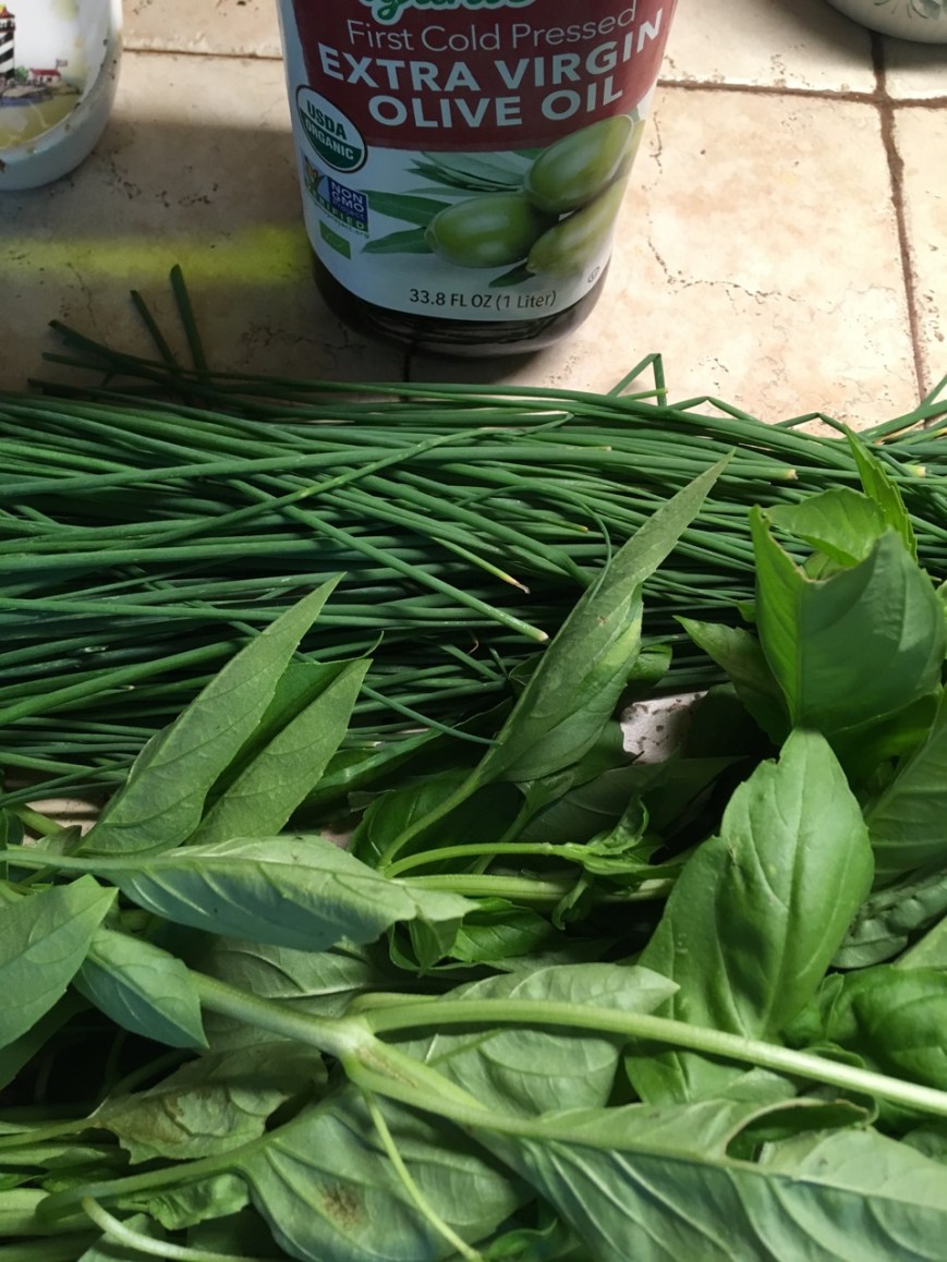 Basil &amp; chives