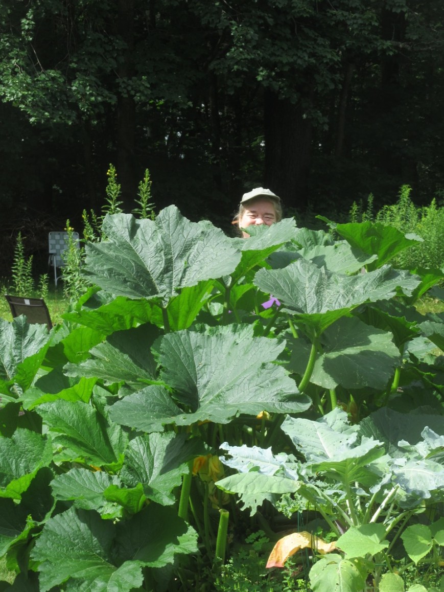 Myke behind the zucchini