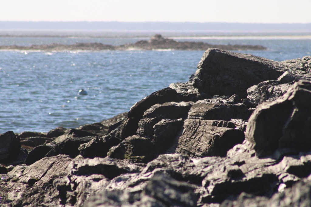 Dark gray huge boulders on a rocky shore with ocean water behind, fading out into the horizon.