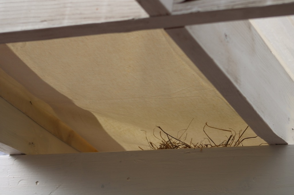 A square of crossed beams, painted white, with a cream colored shade cloth over the top, and grassy nest material showing above the lower beam.