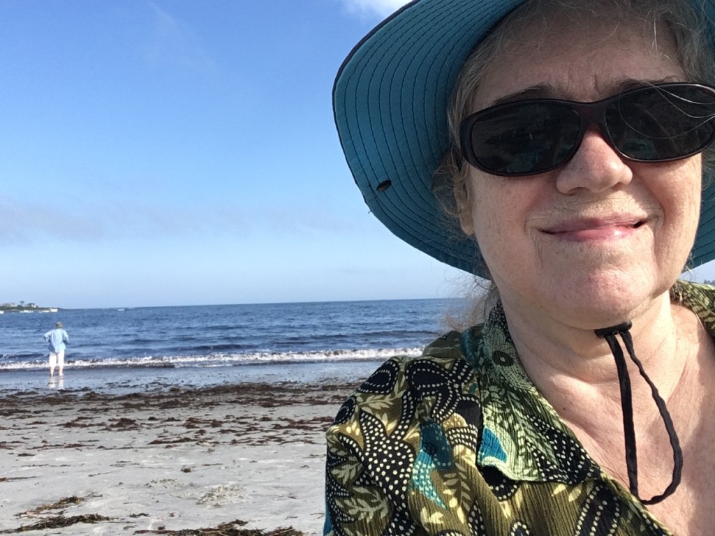 Close-up of white woman smiling into camera, with blue sun hat, sun glasses, and backdrop of ocean beach, with small figure looking out to sea.