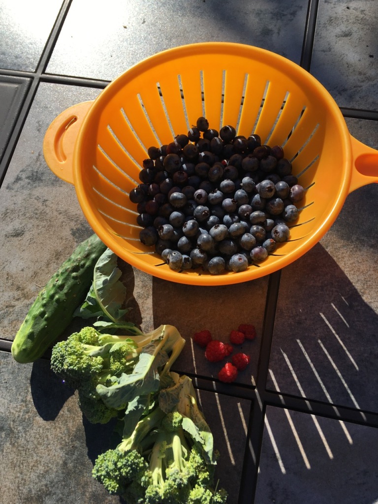 Orange slotted container with blueberries half full, and small cucumber, cut broccoli and a few raspberries.