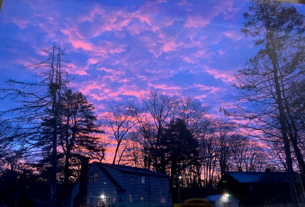 Dawn colors and clouds, pink and blue over trees and shadow of a house